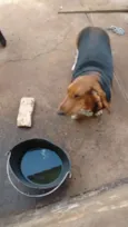 Darwin