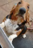 Darwin