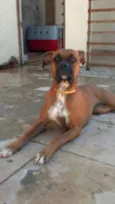 Mel