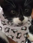 Tom