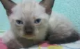 jube jr,