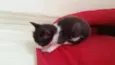 Marie