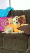 Omalley