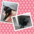 Loba