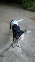 nina