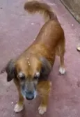 piluca