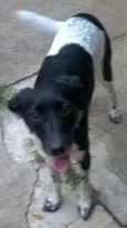 nina
