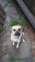 Mel