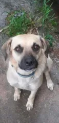 Mel