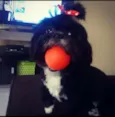 Emilly