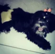 Emilly