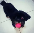 Emilly