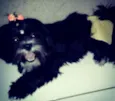 Emilly