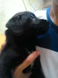 Nome indefinido