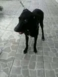 Dudinha