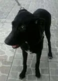 Dudinha