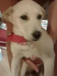 Marley