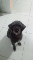 Nina