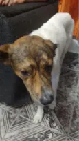 kiko