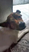 kiko