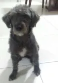 Nina