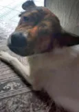 kiko