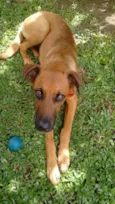 Zezão