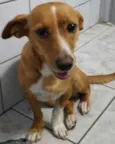 Maggie