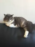 Sugar