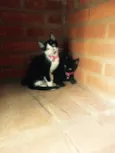 Brigite e Margot