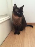 Mel