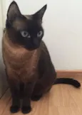 Mel