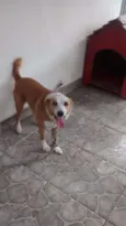 Princesa