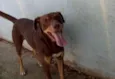 Cotoco