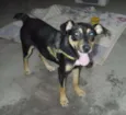 MARLON