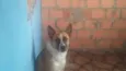 bayron