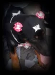 menina