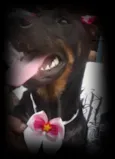 menina