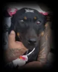 menina