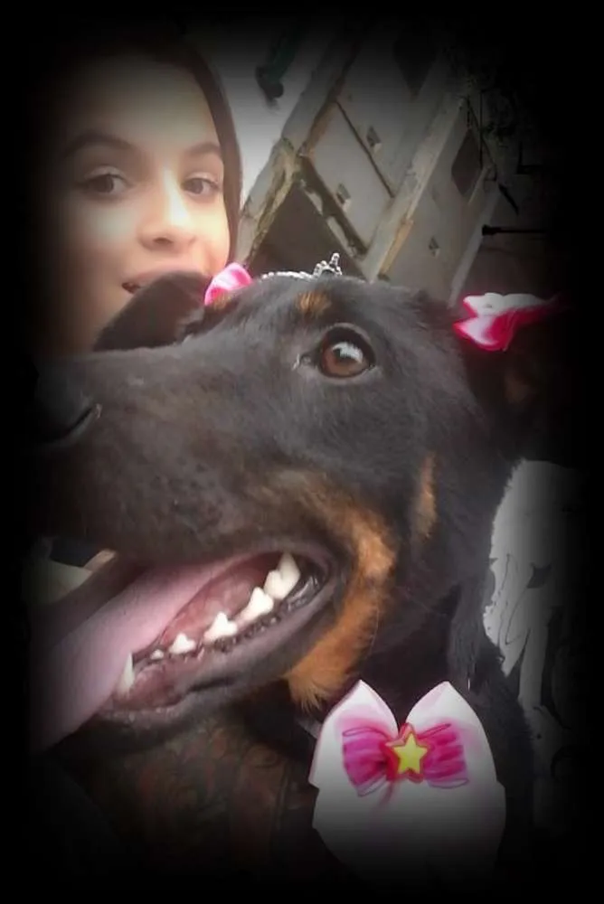 Cachorro ra a SRD idade 2 a 6 meses nome menina