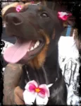 menina