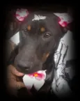 menina