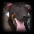 menina