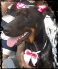 menina