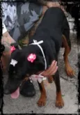 menina