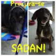 Sadan