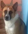 bayron