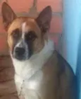 bayron