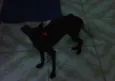 Não tem