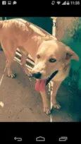 Marley